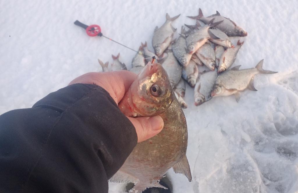 Подлещики на «чертик» 