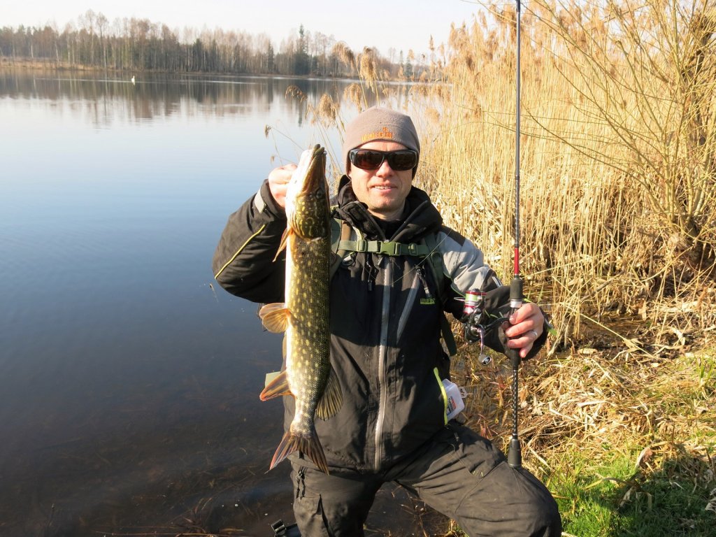 Рыболов поймал щуку лёгким спиннингом весной