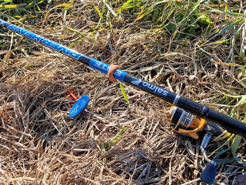 Удочка Salmo Elite Bolognese River Heavy 5.0 с катушкой и поплавком Удочка Salmo Elite Bolognese River Heavy 5.0 с катушкой на траве, рядом лежит поплавок