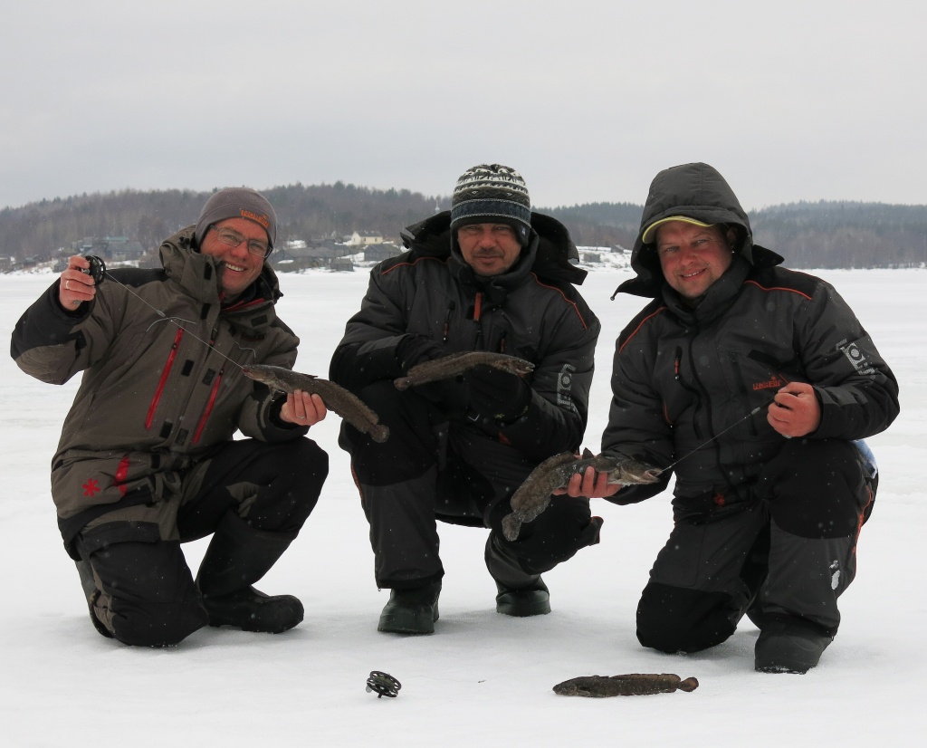 Трое рыбаков на зимней рыбалке в зимних костюмах Norfin держат каждый пойманную рыбу