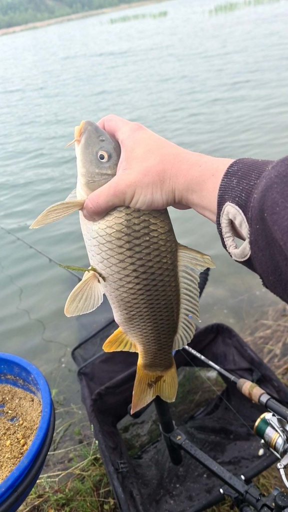 шок-лидер в фидере 0006.JPG