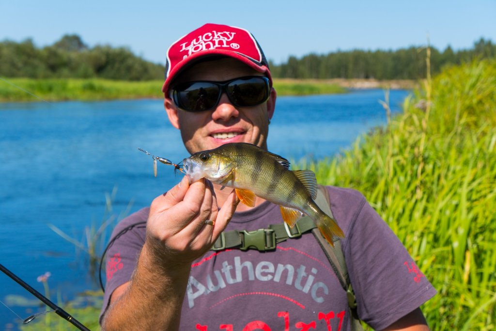 Валерий Сикиржицкий держит окуня с вертушкой