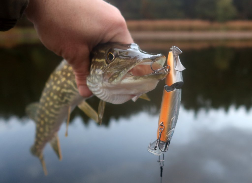 Щука с составным воблером