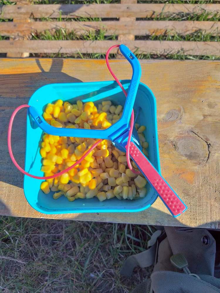 основы болонской ловли 00011.JPG