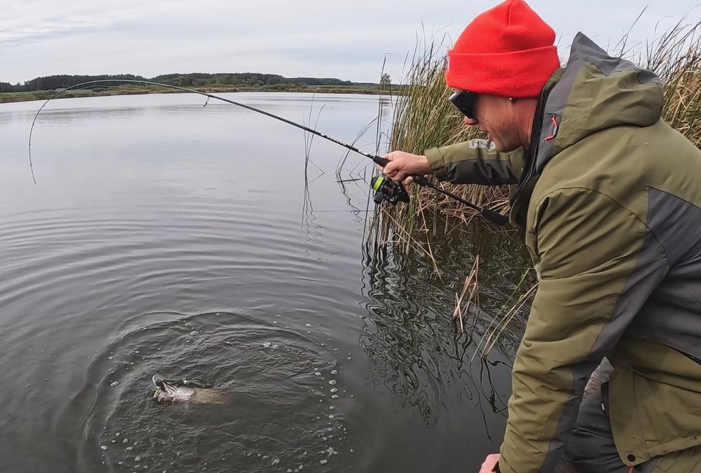 Вываживание щуки с берега