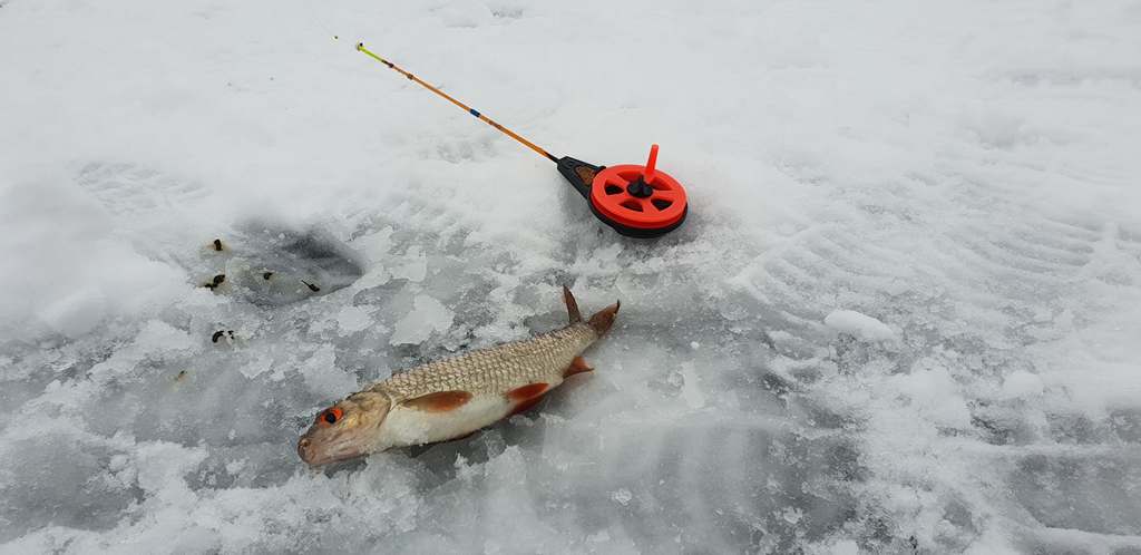 Ловля плотвы на мормышечные снасти 00006.jpg Ловля плотвы на мормышечные снасти 00006.jpg