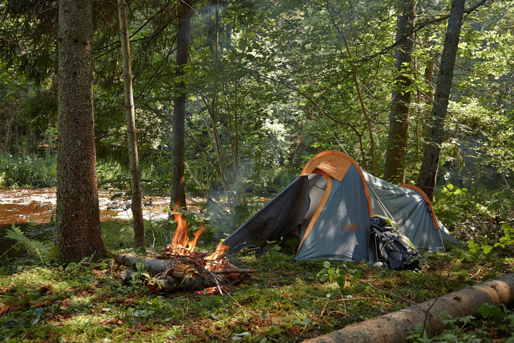 Отдых в палатке Norfin в лесу 