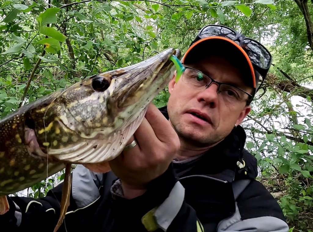 Валерий Сикиржицкий держит хорошую щуку Валерий Сикиржицкий держит хорошую щуку