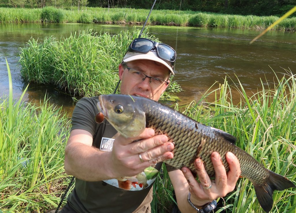 Валерий Сикиржицкий поймал голавля на речном перекате