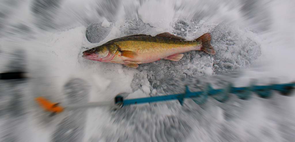 виды коряжника и тактика ловли зимой в коряжнике 00002.JPG