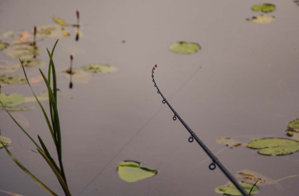 мах или пикер 00001.JPG