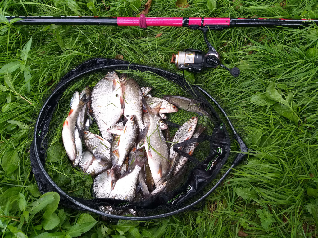 поплавочная оснастка для ловли в проводку 0003.JPG