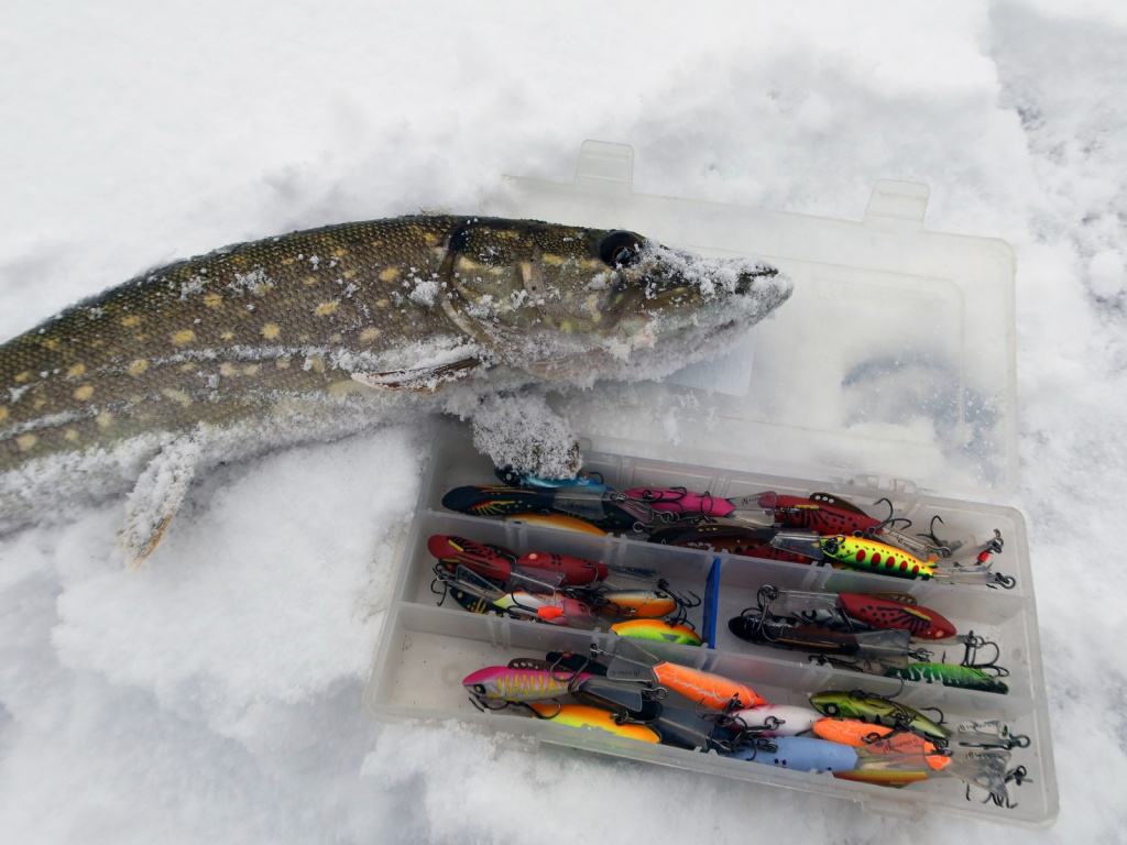 Балансирная щука в начале сезона