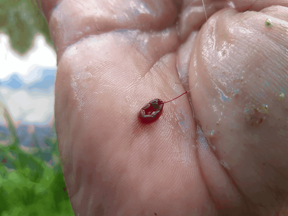 Ловля на реке коротким махом 0006.PNG