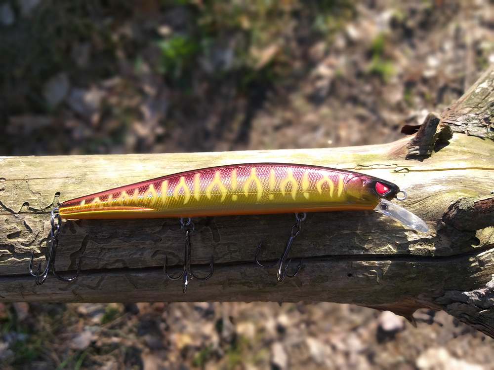 ловля щуки в мае 00005.JPG