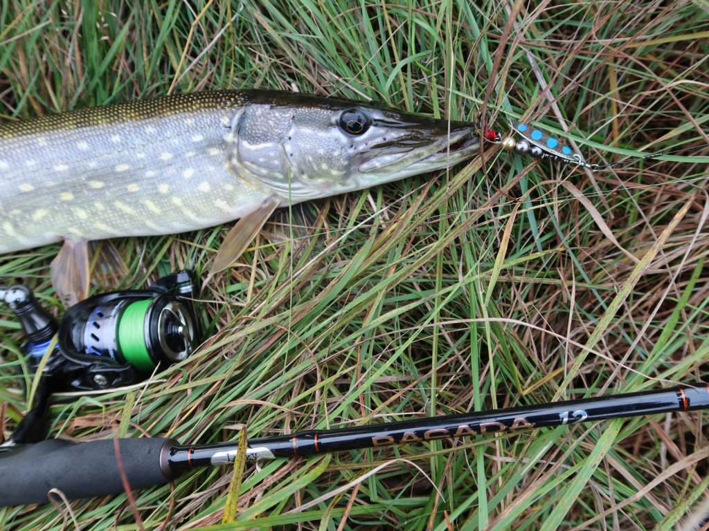 Щука со снастью и вертушкой