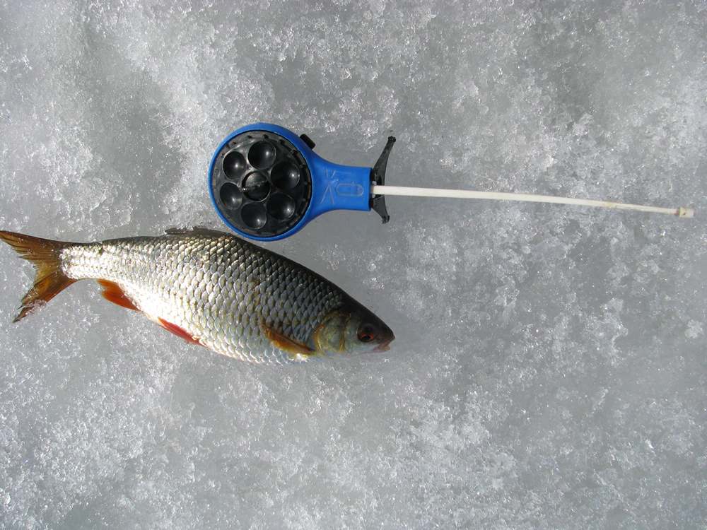 куда отправиться рыболову на перволедье 00007.JPG