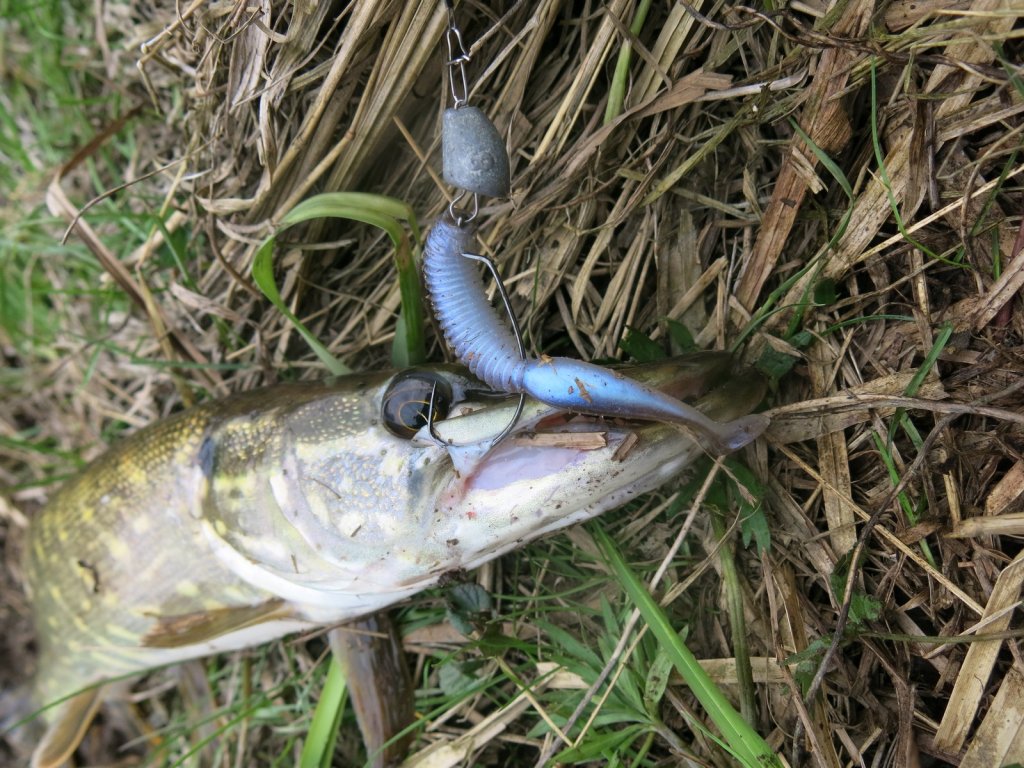 Щука клюнула на перламутровый виброхвост