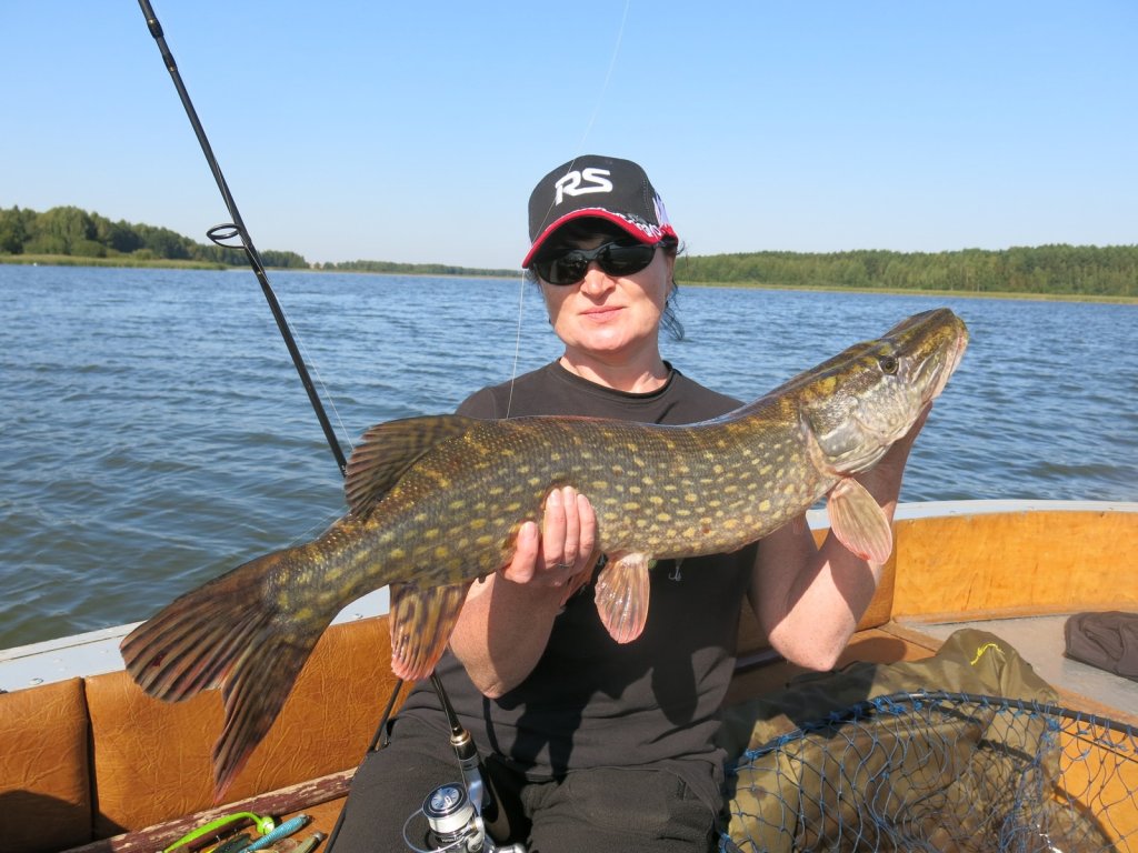Рыбачка поймала на спиннинг хорошую щуку