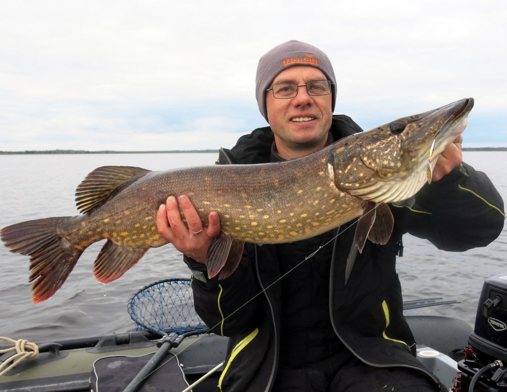 Валерий Сикиржицкий с крупной щукой на вертушку Валерий Сикиржицкий с крупной щукой на вертушку