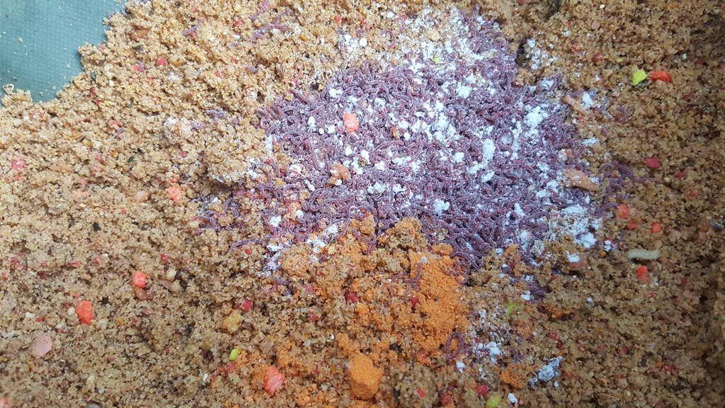 Прикормка для весенней фидерной ловли 00001.JPG