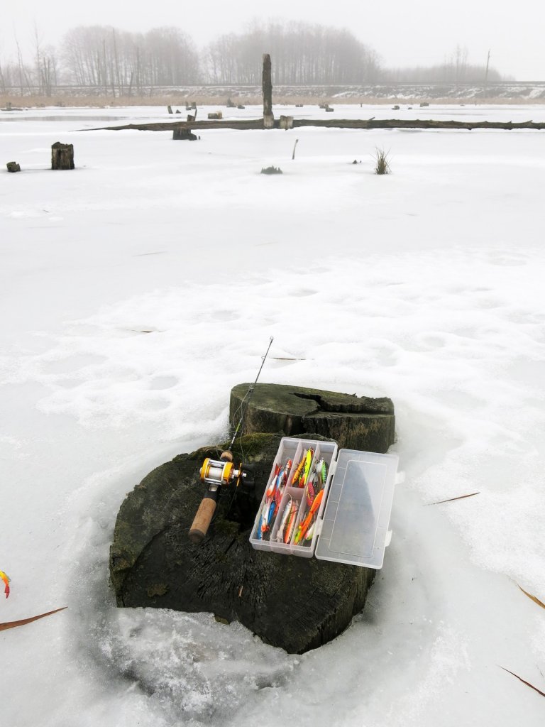 Удочка и балансиры на затопленном пне Удочка и балансиры на затопленном пне