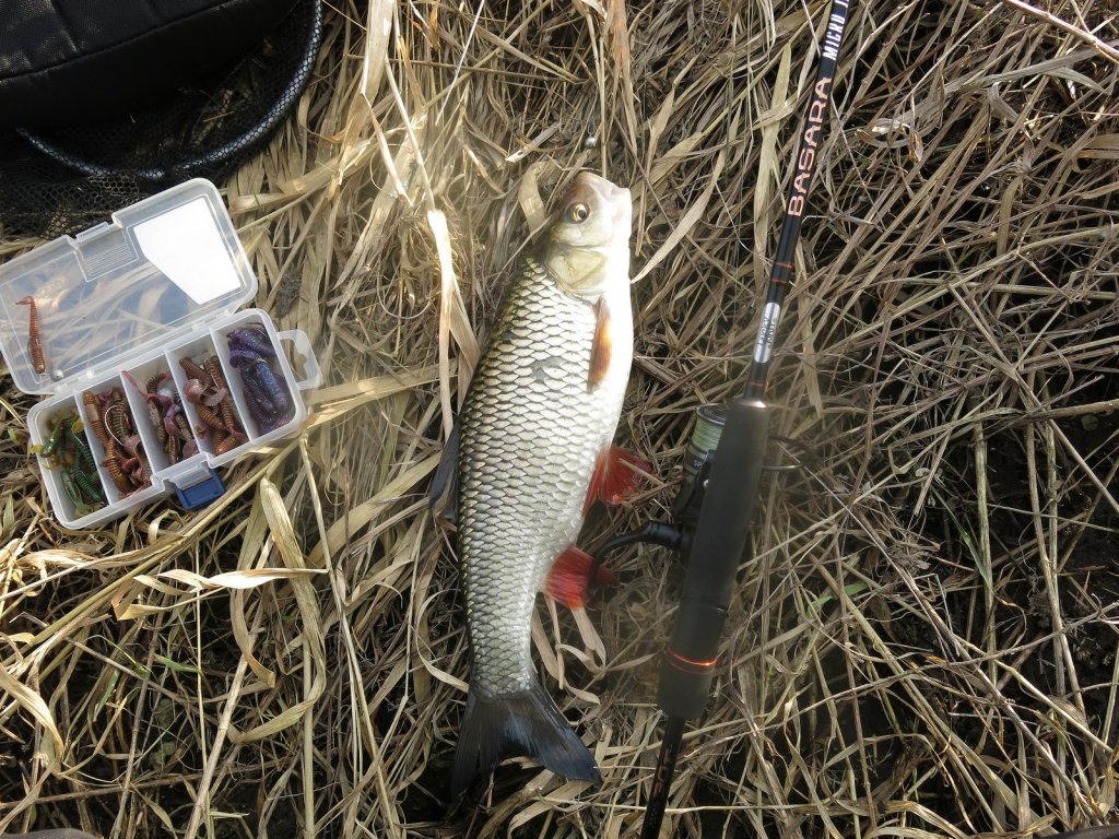 Голавль ловится на микроджиг