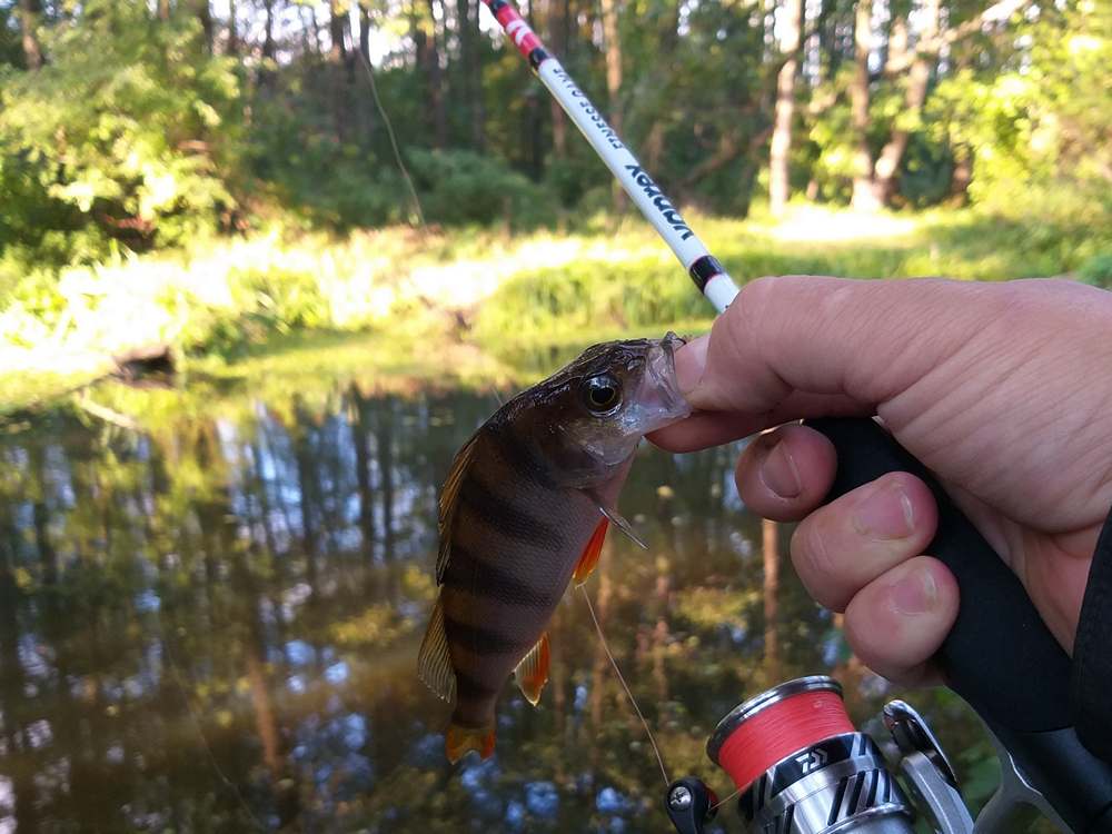 Using_Passive_Lures_in_a_Light_River_Jig_0014.jpg Using_Passive_Lures_in_a_Light_River_Jig_0014.jpg