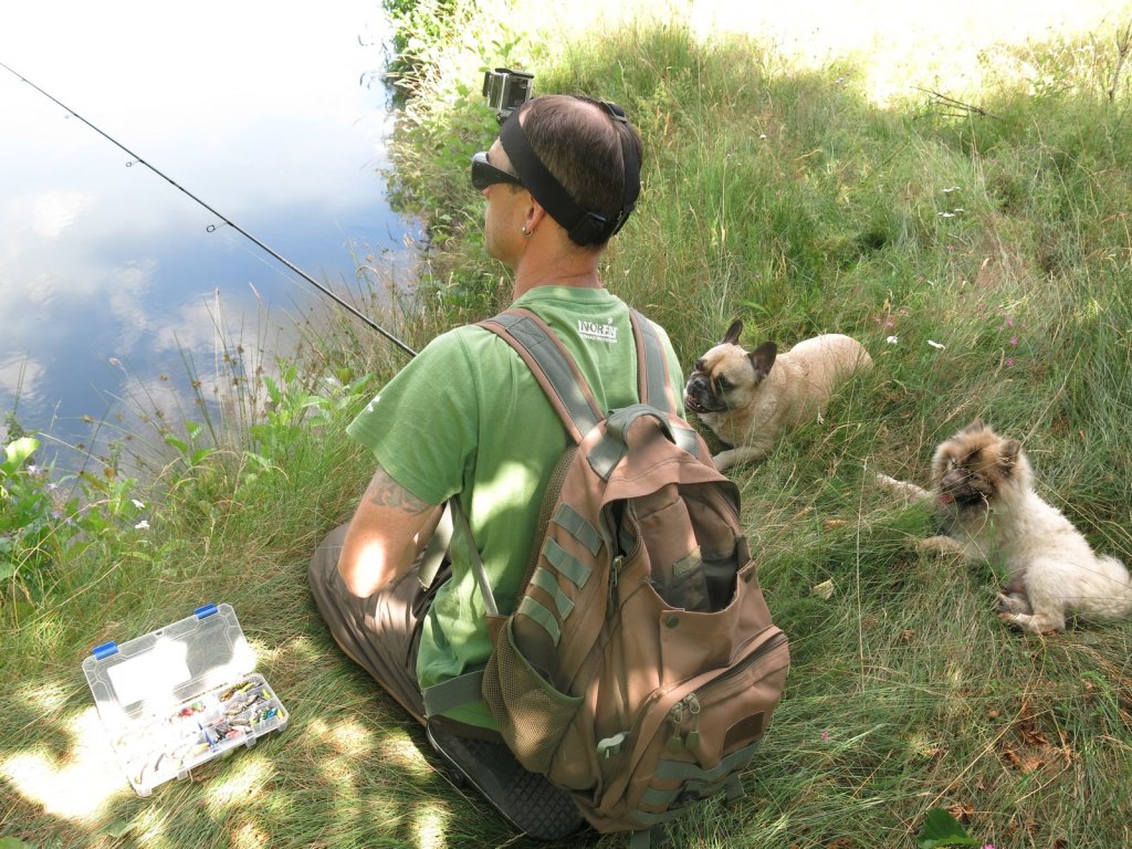 Рыболов ловит спиннингом с собаками