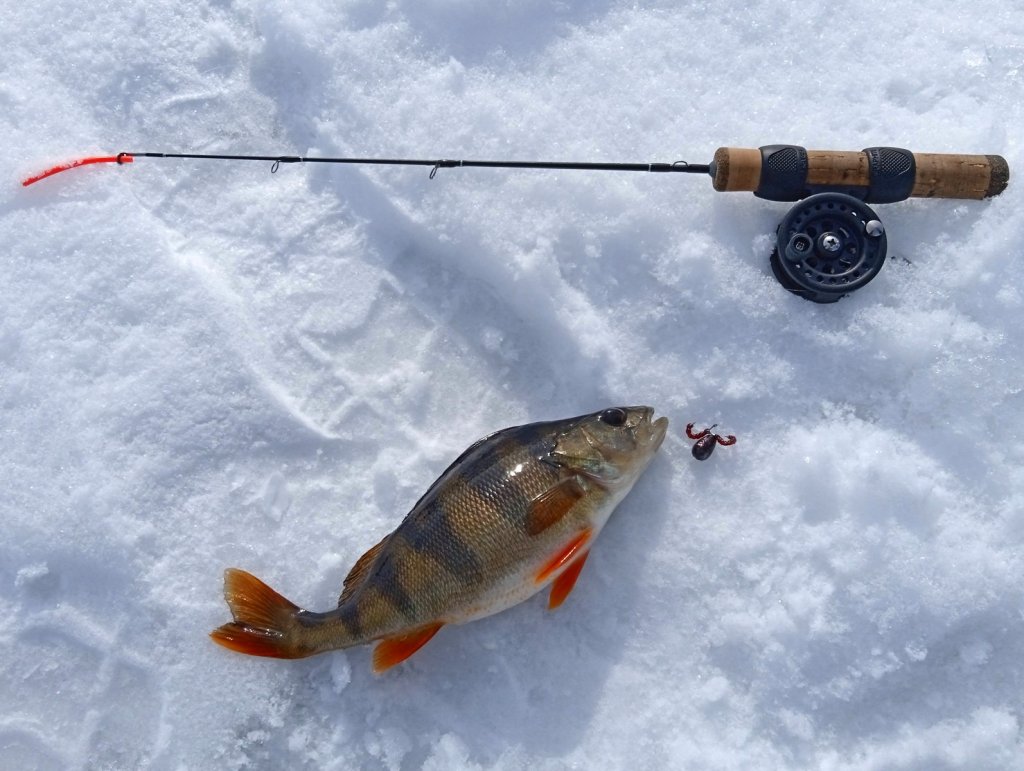 Окунь ловится на балду