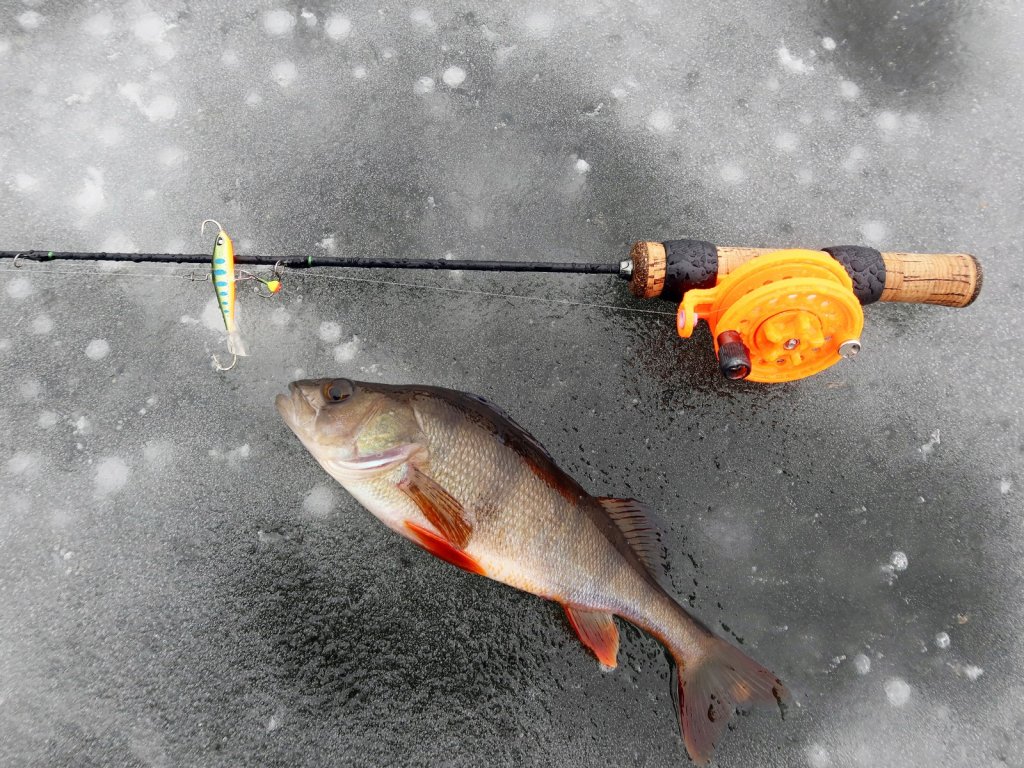 Окунь, удочка и балансир