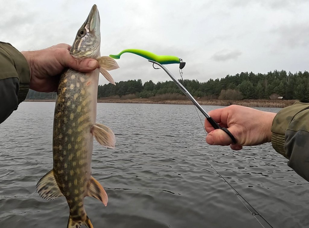 Щука поймана на салатовую резину