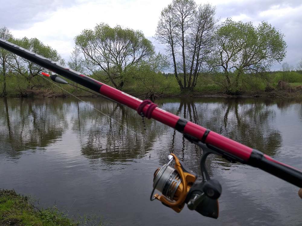 основы болонской ловли 00001.JPG