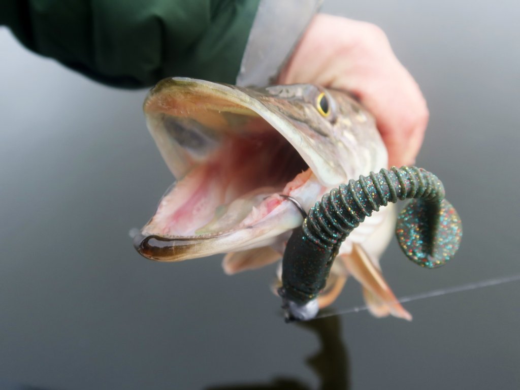 Щука клюнула на тёмный виброхвост