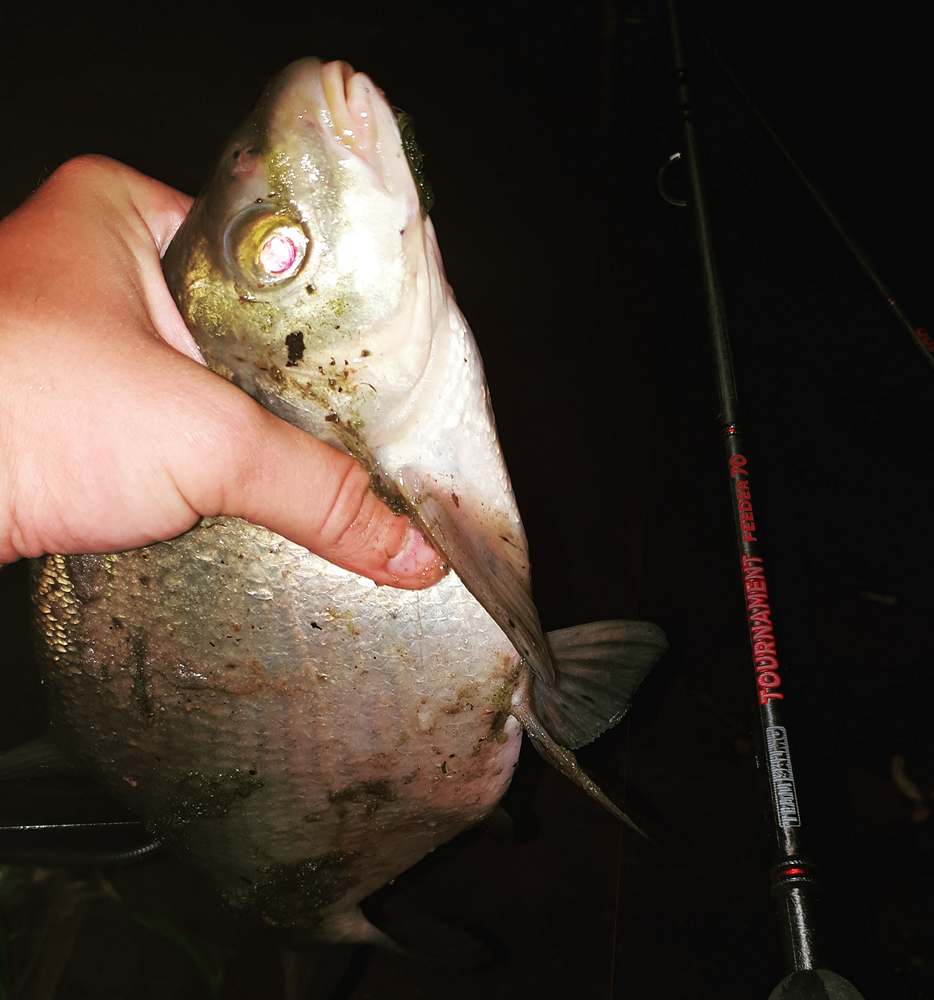 ночная рыбалка на леща четыре совета 00002.JPG