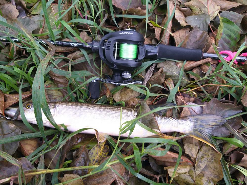 Мультипликаторная катушка Lucky John Black Sense Ultimax 10