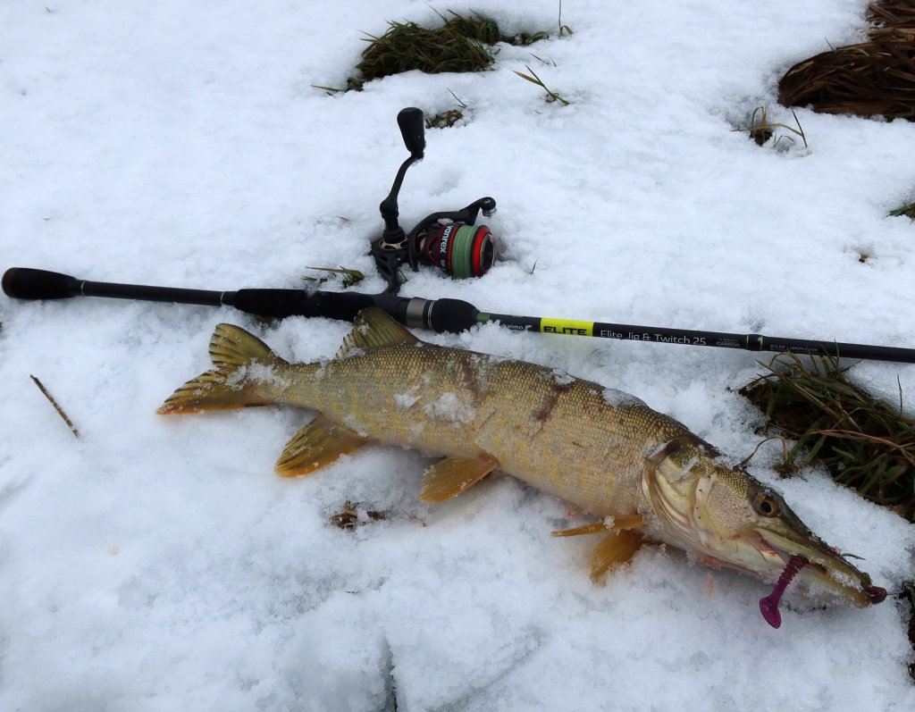 Щука и снасть на снегу