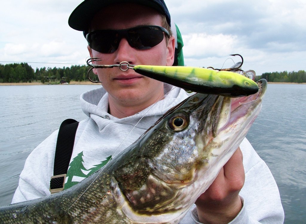 Щука клюнула на воблер под окуня Щука клюнула на воблер под окуня