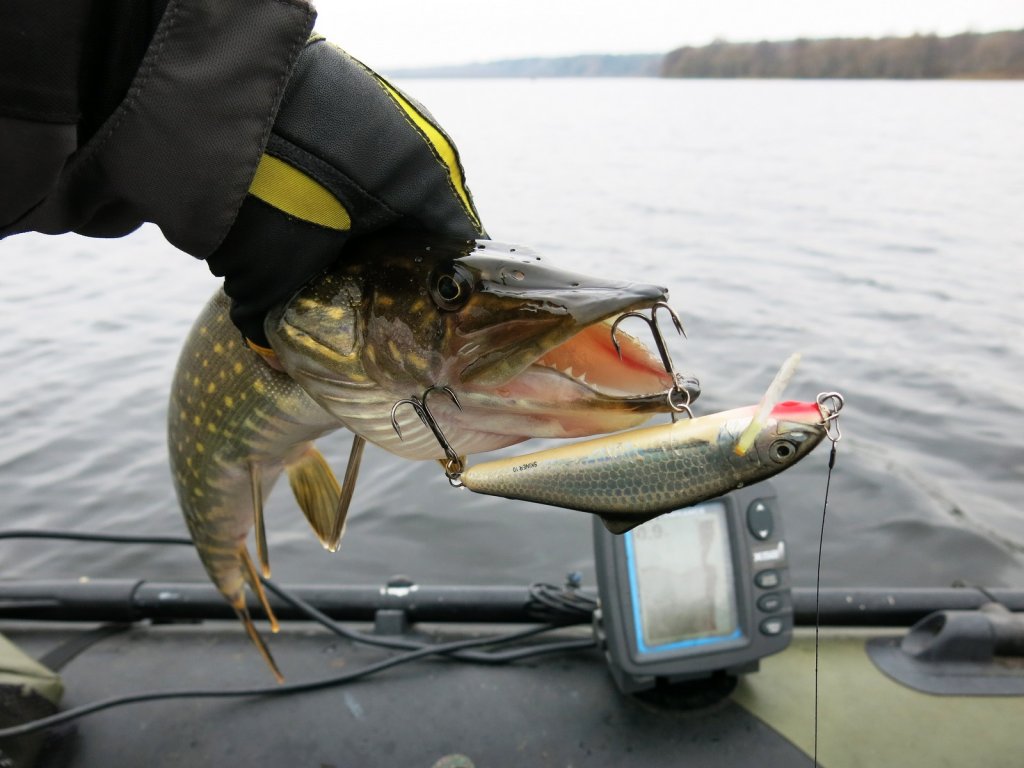 Поимка щуки на воблер-крэнкбейт