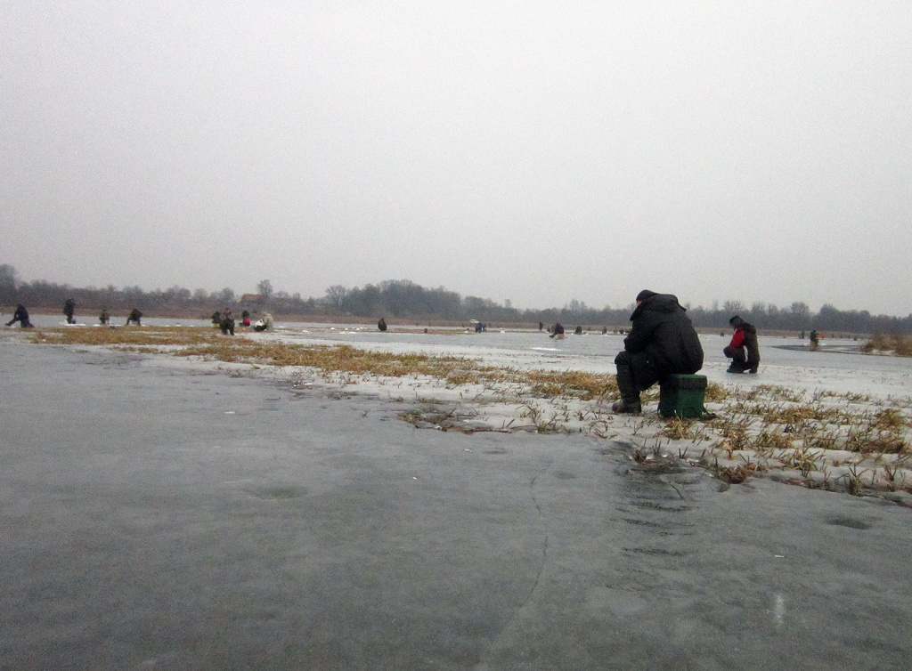 Плюсы ловли в заливах и затонах