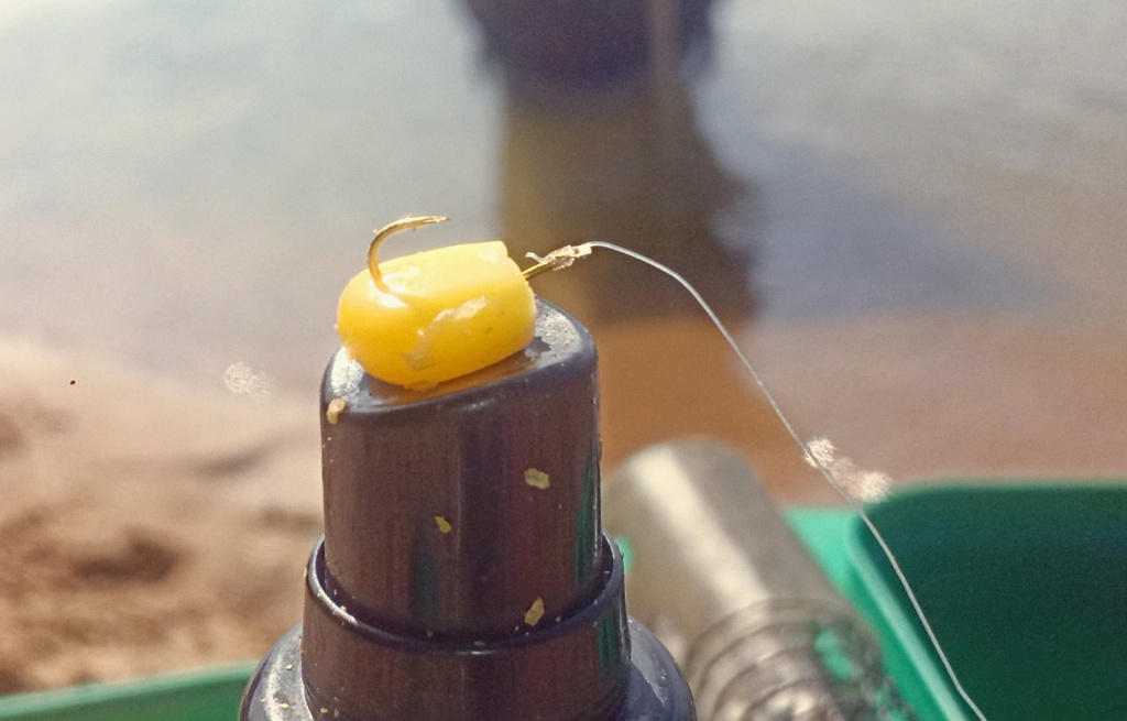 Динамичная ловля карпа на платнике (6).jpg