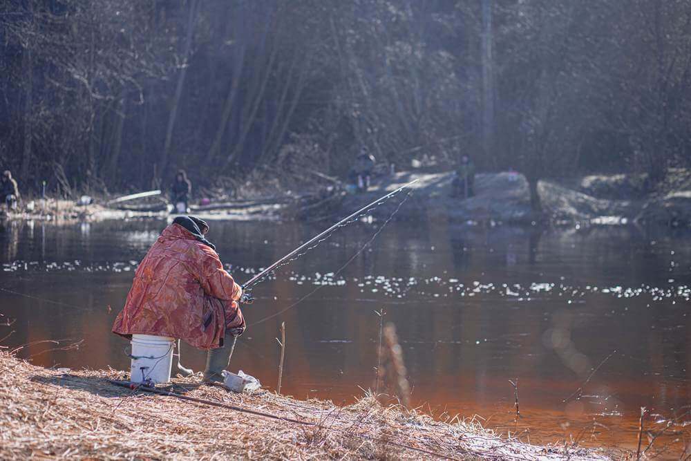 Ловля ельца весной Где ловить ельца весной