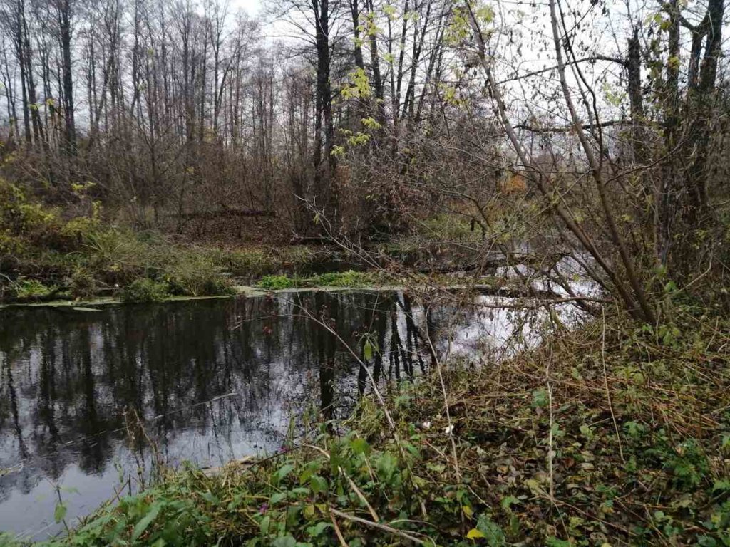 Река Титовка в черте города