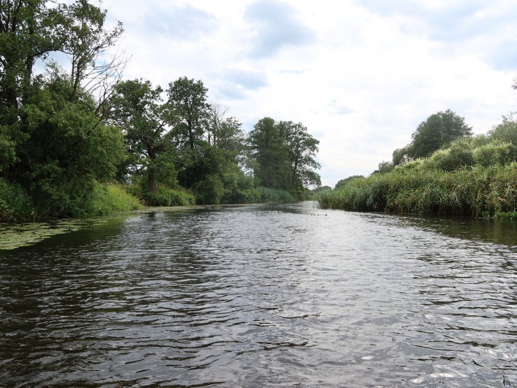 Вид на малую реку летом
