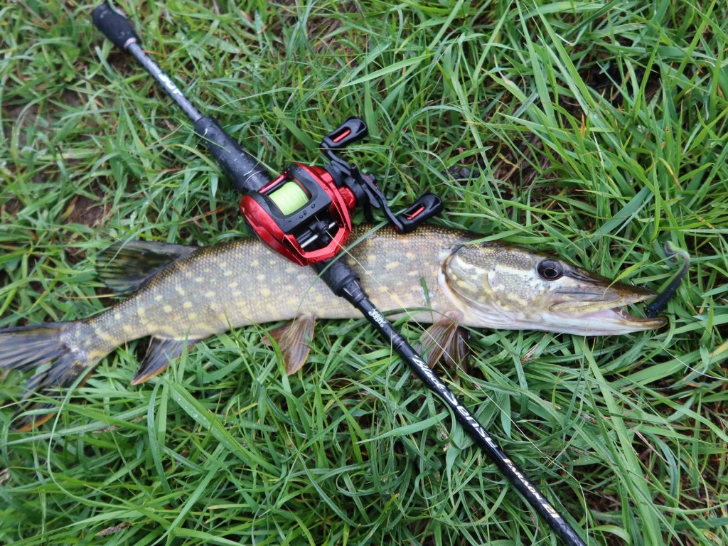 Щука и кастинговая снасть