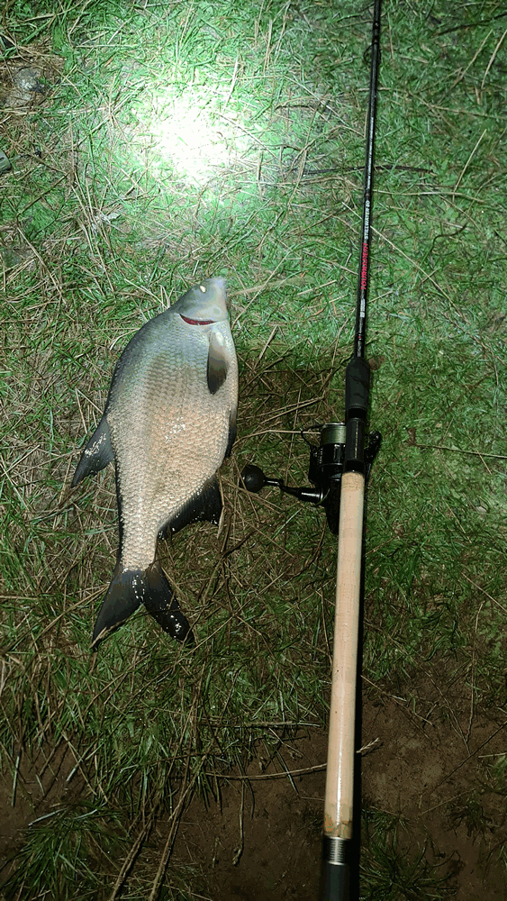 ловля леща в начале осени 0004.PNG