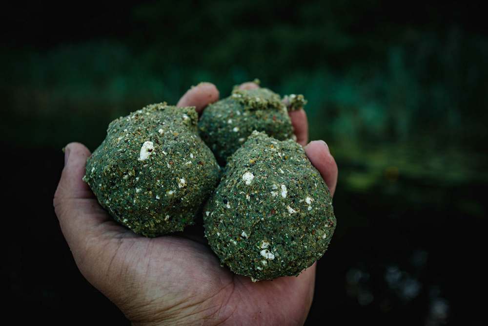 как ловить линя 0001.JPG