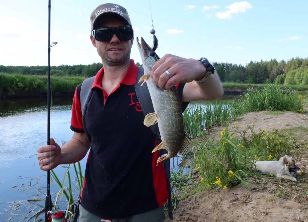 Валерий Сикиржицкий поймал речную щуку на джиг