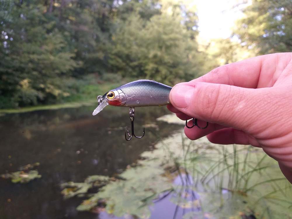 Специфика ловли щуки на малых реках