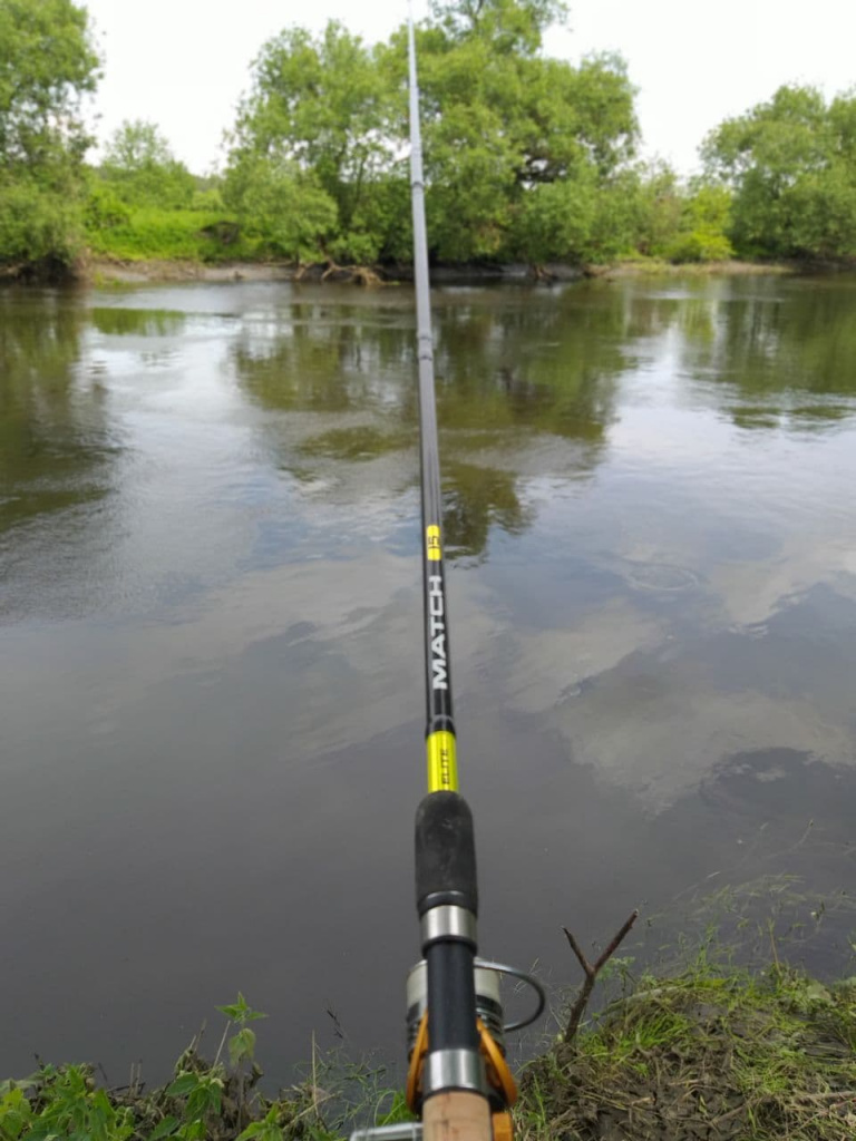 Salmo Elite Match 15 4.5 м